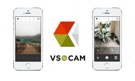 Contact sales for this feature. . Vsco picture downloader